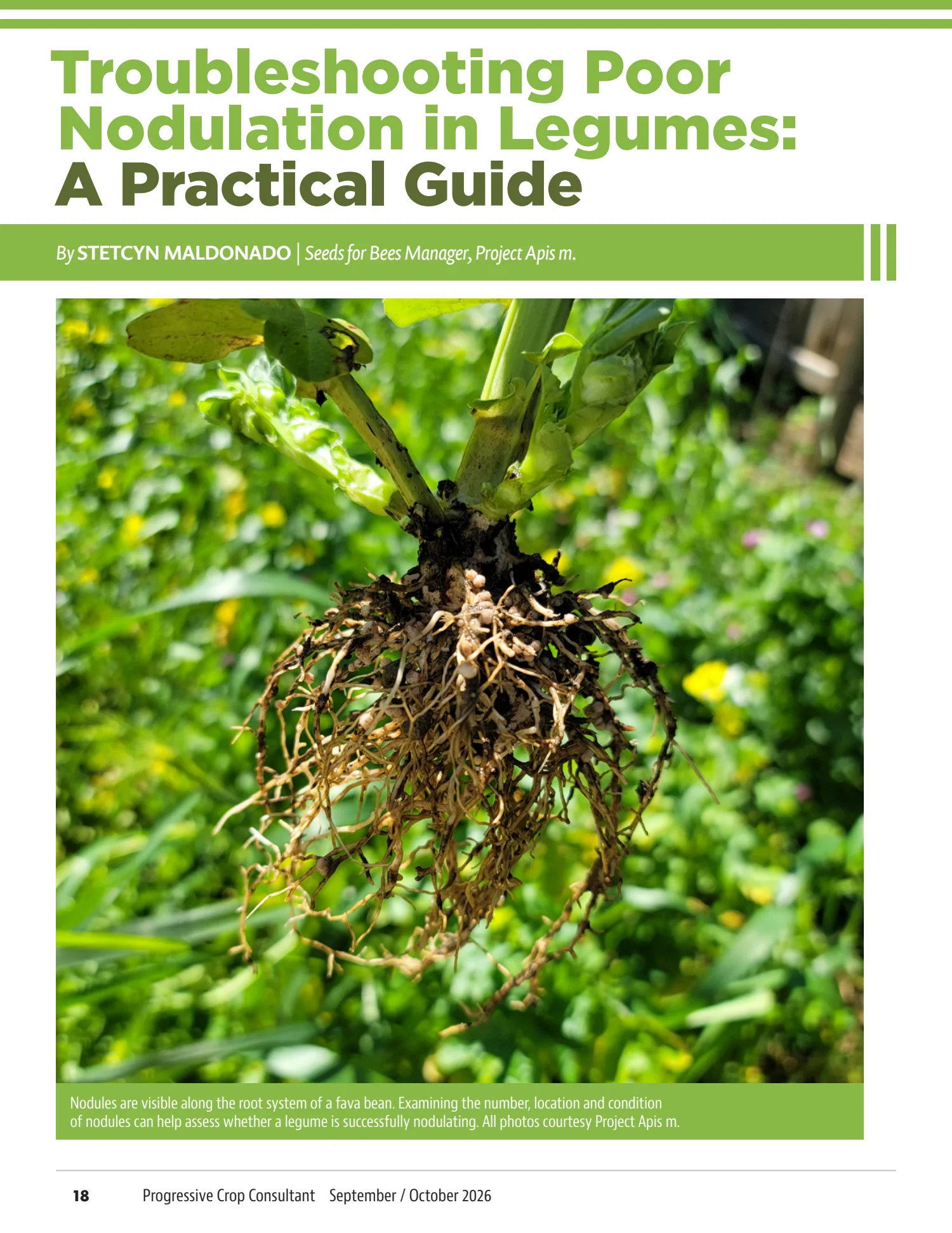 Progressive Crop Consultant, September / October 2026, page 18