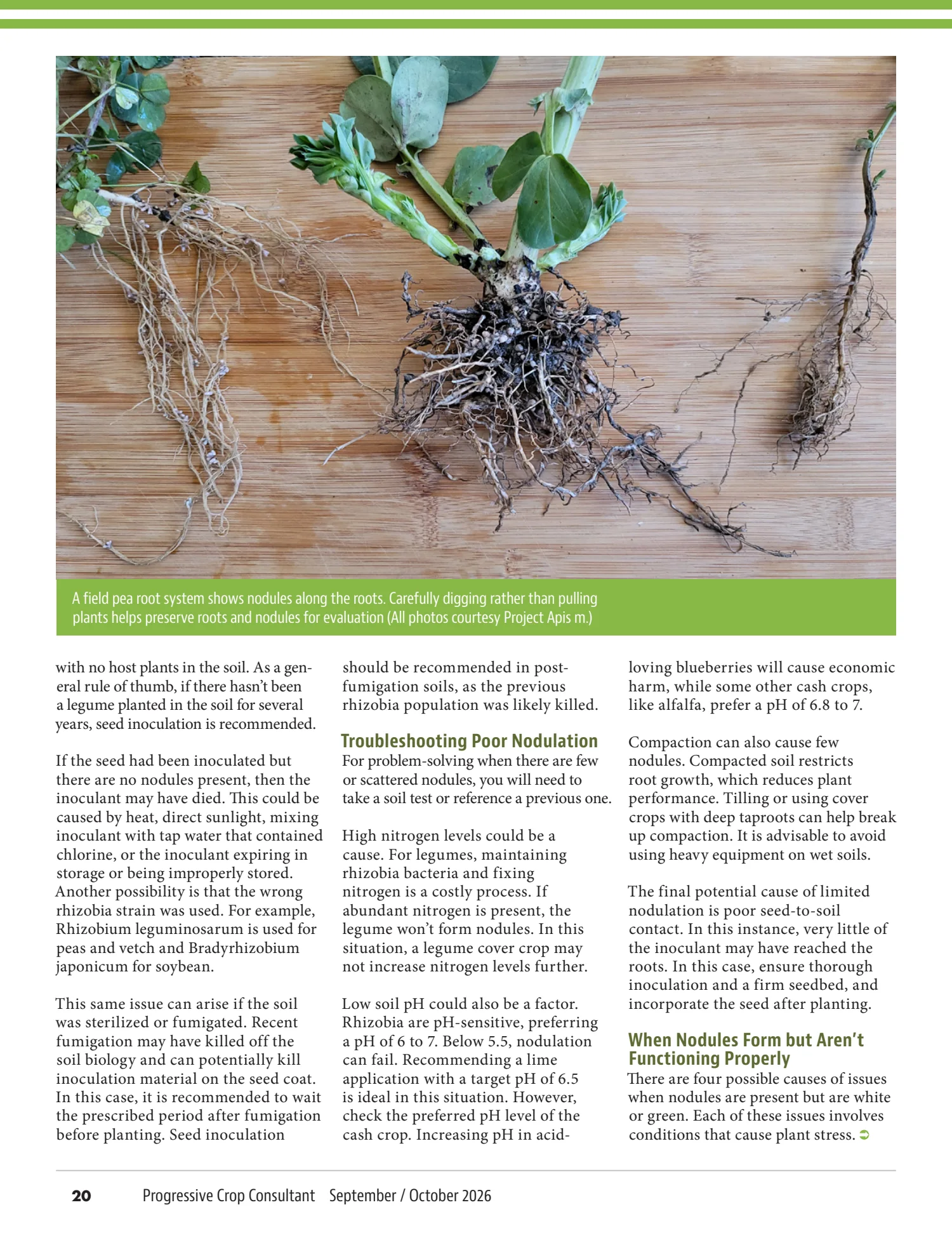 Progressive Crop Consultant, September / October 2026, page 20