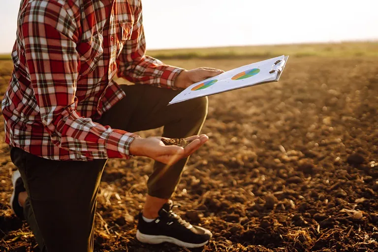 Salinity management, irrigation quality, and soil health play critical roles in maintaining crop productivity (Photo by maxbelchenko/Shutterstock.)