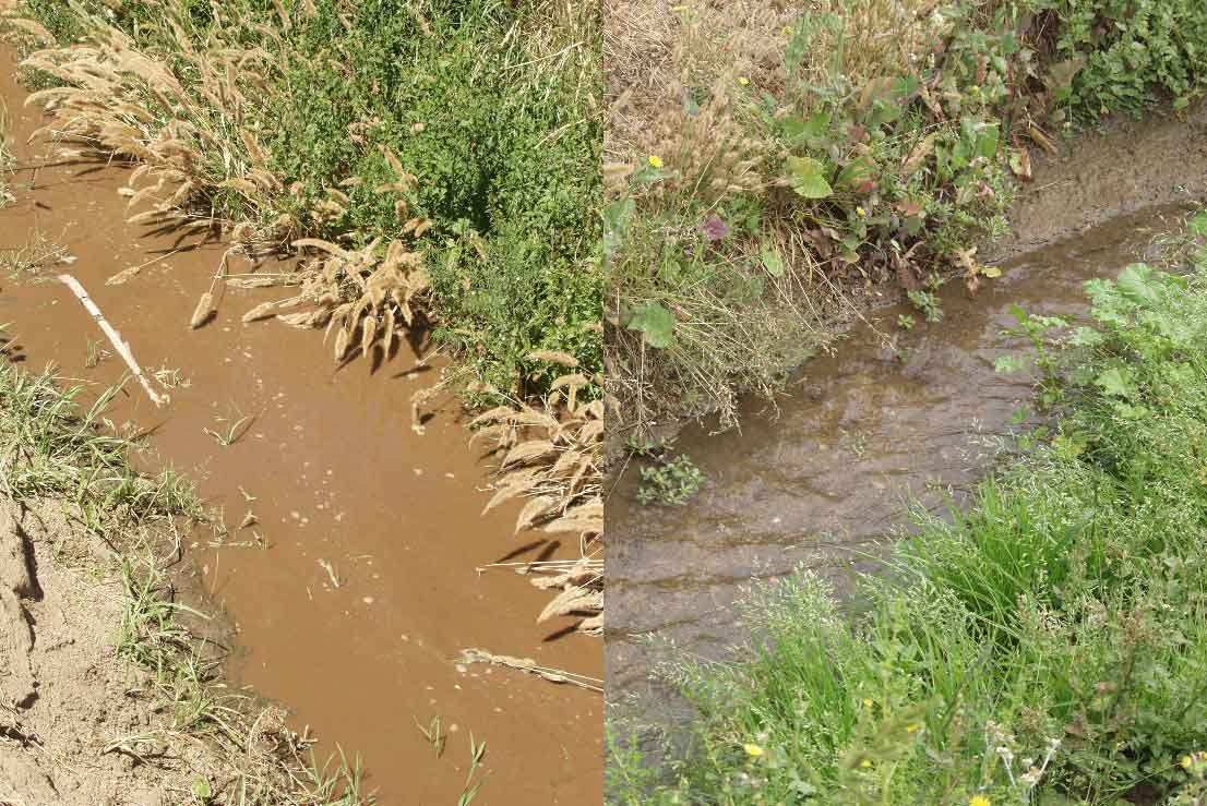 Runoff from overhead sprinkler