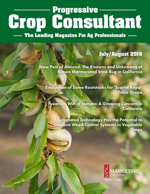 July/August 2018