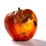 Decaying Apple